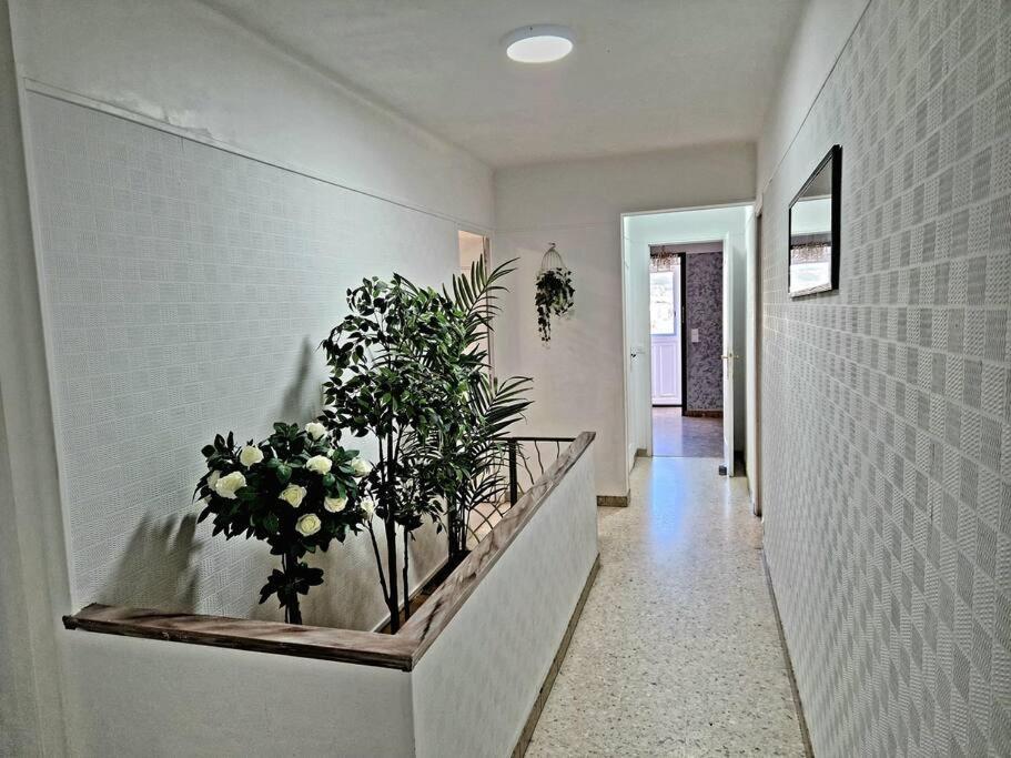 Villa Marseille Dans Les Hauteurs Kültér fotó